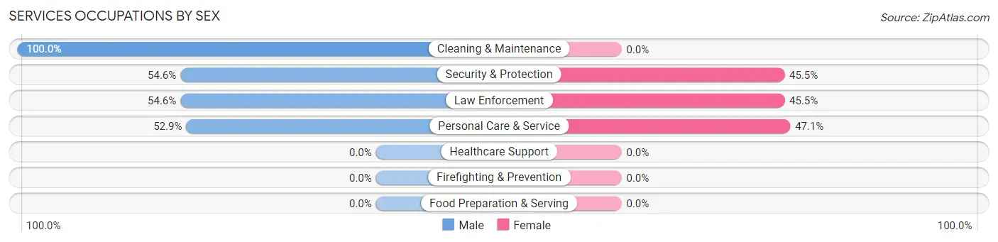 Services Occupations by Sex in Ebro