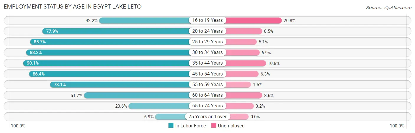 Employment Status by Age in Egypt Lake Leto