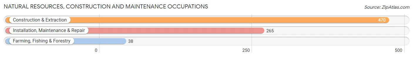 Natural Resources, Construction and Maintenance Occupations in Elfers