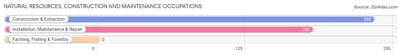 Natural Resources, Construction and Maintenance Occupations in Englewood