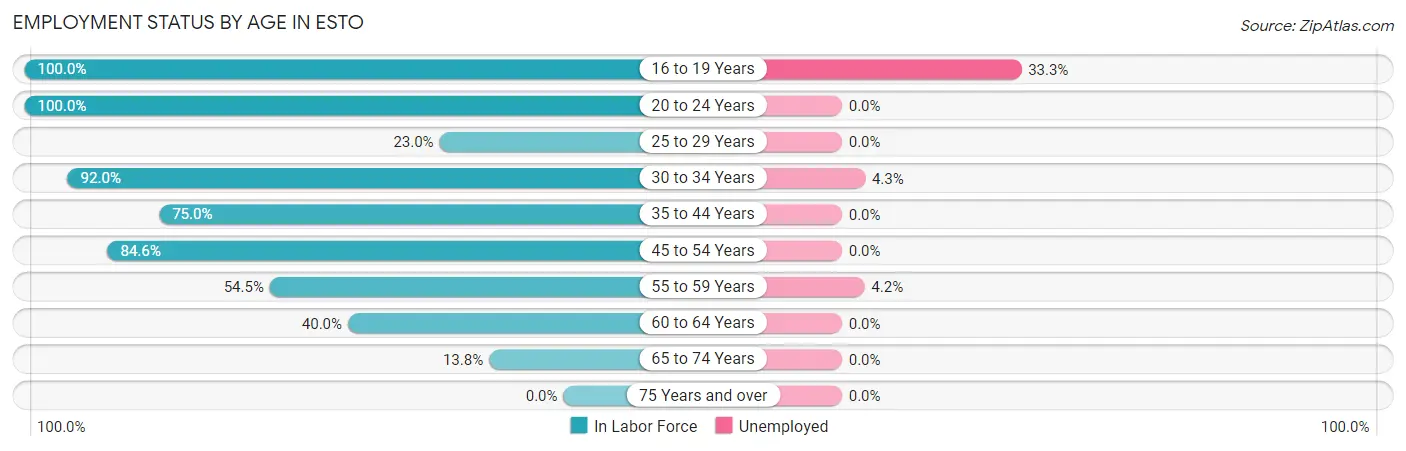 Employment Status by Age in Esto