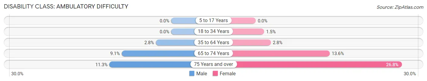 Disability in Fernandina Beach: <span>Ambulatory Difficulty</span>