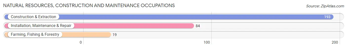 Natural Resources, Construction and Maintenance Occupations in Fernandina Beach