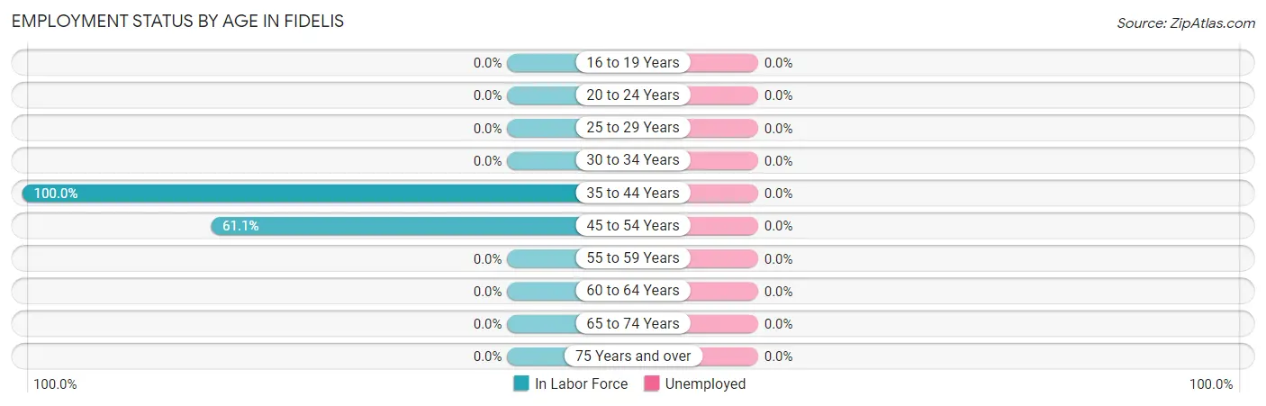 Employment Status by Age in Fidelis