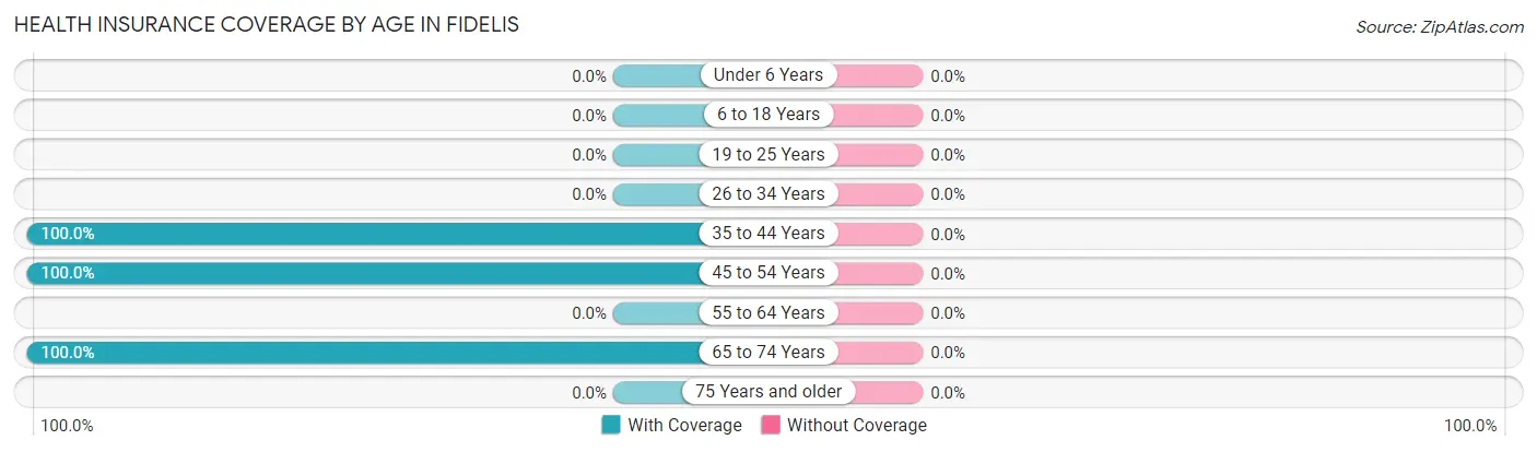 Health Insurance Coverage by Age in Fidelis