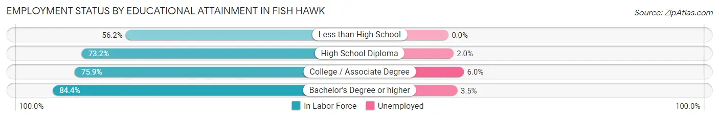 Employment Status by Educational Attainment in Fish Hawk