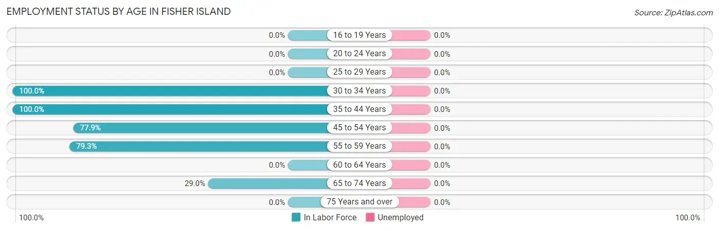 Employment Status by Age in Fisher Island