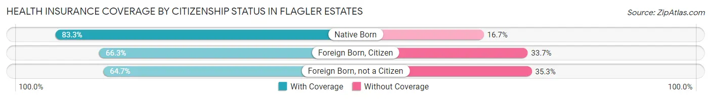 Health Insurance Coverage by Citizenship Status in Flagler Estates