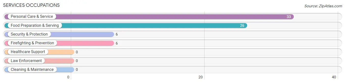 Services Occupations in Flagler Estates