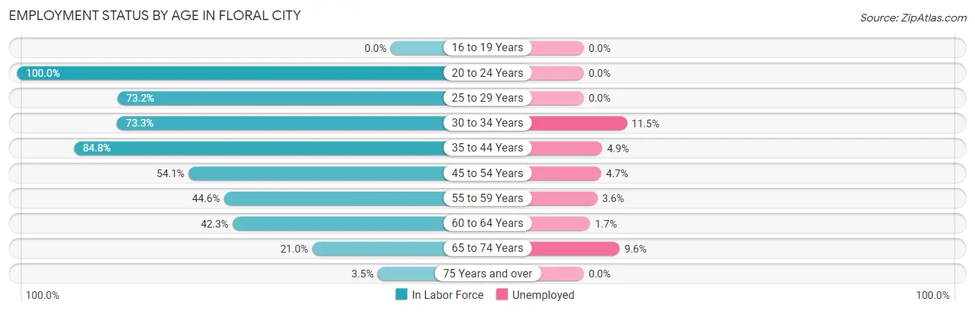 Employment Status by Age in Floral City