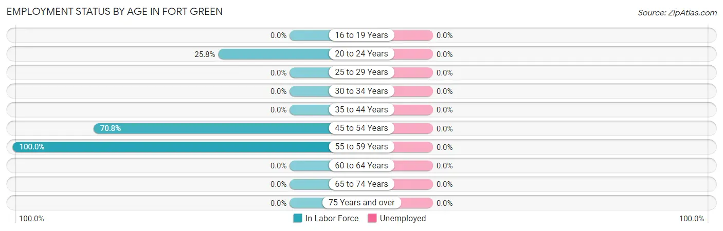 Employment Status by Age in Fort Green