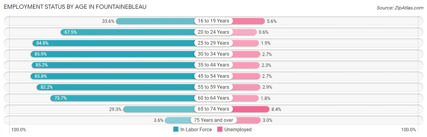 Employment Status by Age in Fountainebleau