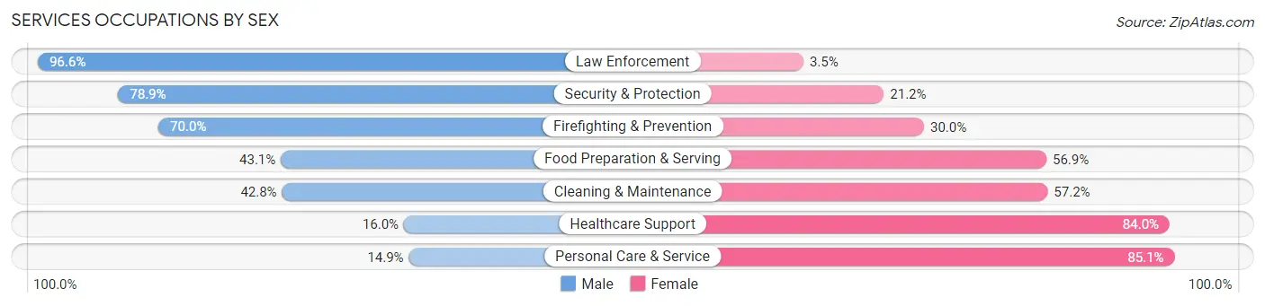 Services Occupations by Sex in Fountainebleau