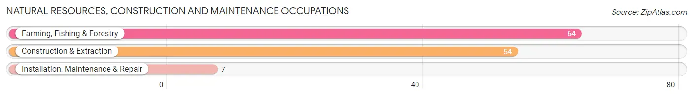 Natural Resources, Construction and Maintenance Occupations in Frostproof