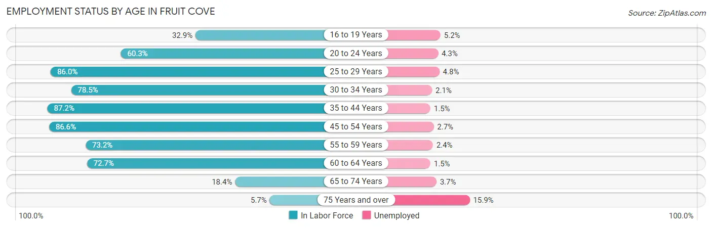 Employment Status by Age in Fruit Cove