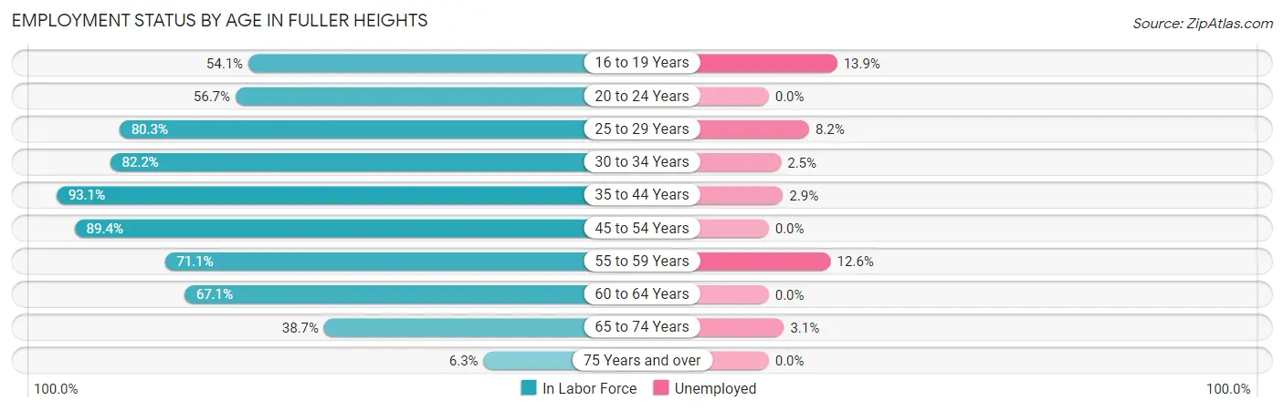 Employment Status by Age in Fuller Heights