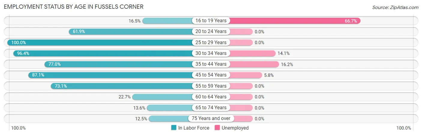 Employment Status by Age in Fussels Corner