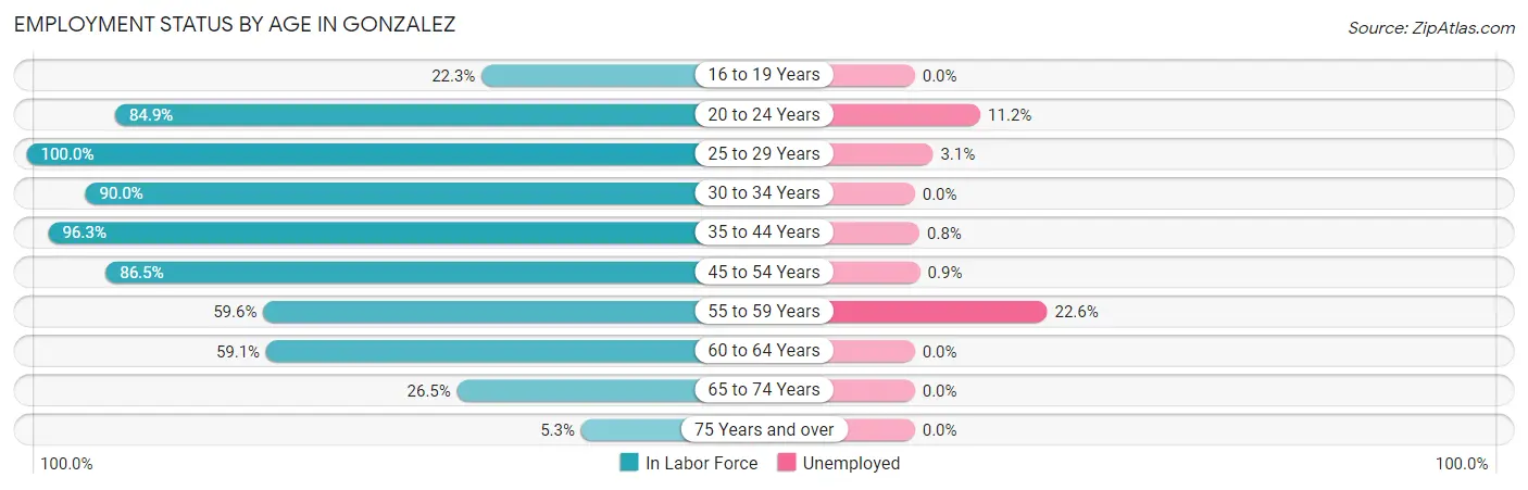Employment Status by Age in Gonzalez