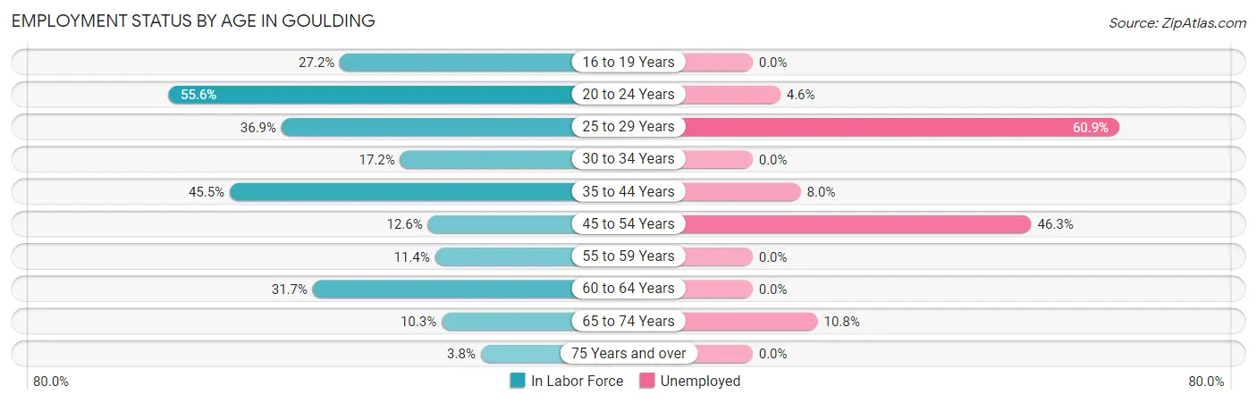 Employment Status by Age in Goulding