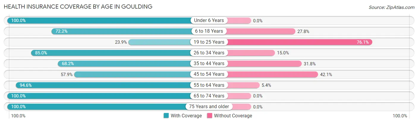 Health Insurance Coverage by Age in Goulding