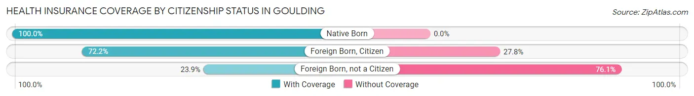 Health Insurance Coverage by Citizenship Status in Goulding