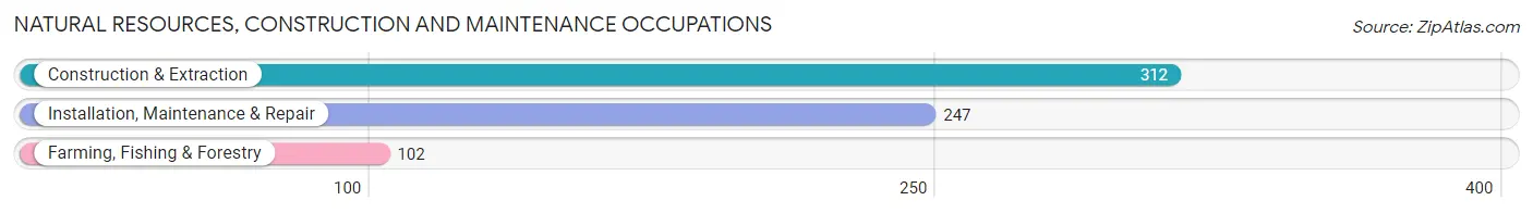 Natural Resources, Construction and Maintenance Occupations in Goulds