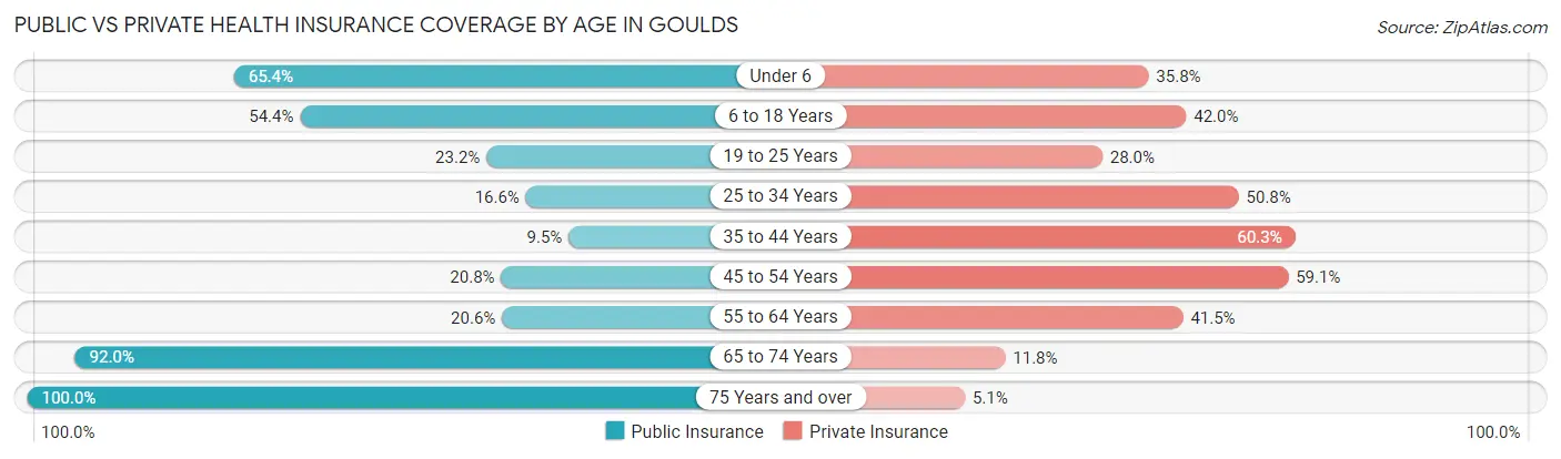 Public vs Private Health Insurance Coverage by Age in Goulds