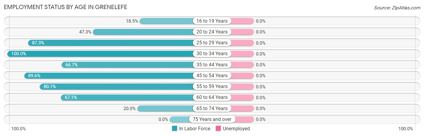 Employment Status by Age in Grenelefe