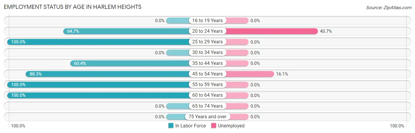 Employment Status by Age in Harlem Heights
