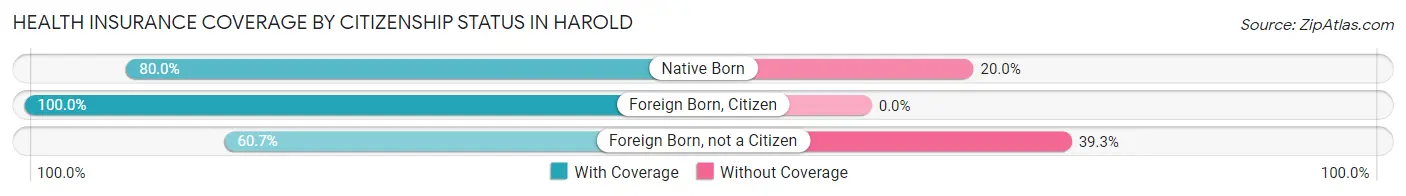 Health Insurance Coverage by Citizenship Status in Harold