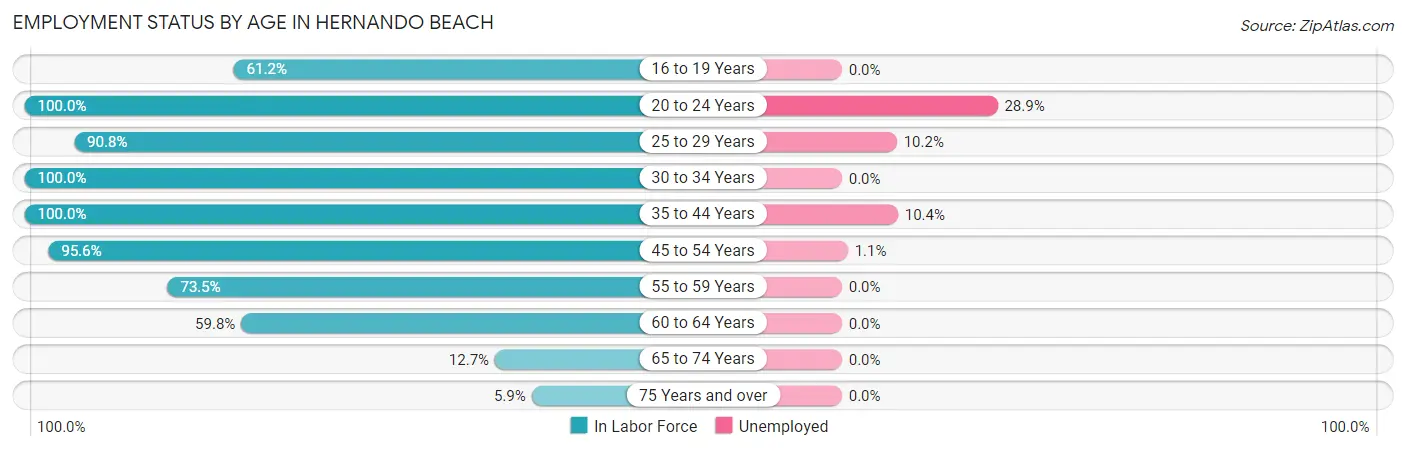 Employment Status by Age in Hernando Beach