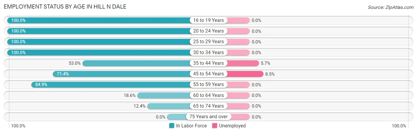 Employment Status by Age in Hill n Dale