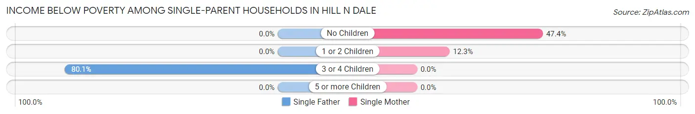 Income Below Poverty Among Single-Parent Households in Hill n Dale