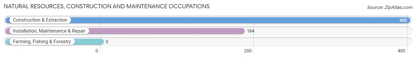 Natural Resources, Construction and Maintenance Occupations in Hill n Dale