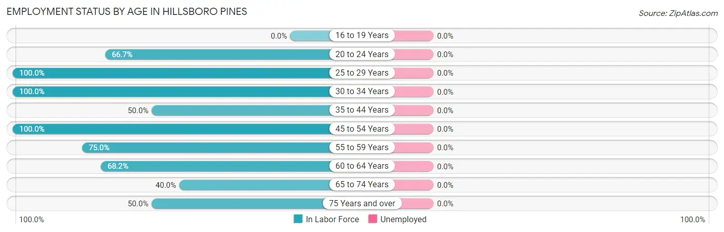 Employment Status by Age in Hillsboro Pines