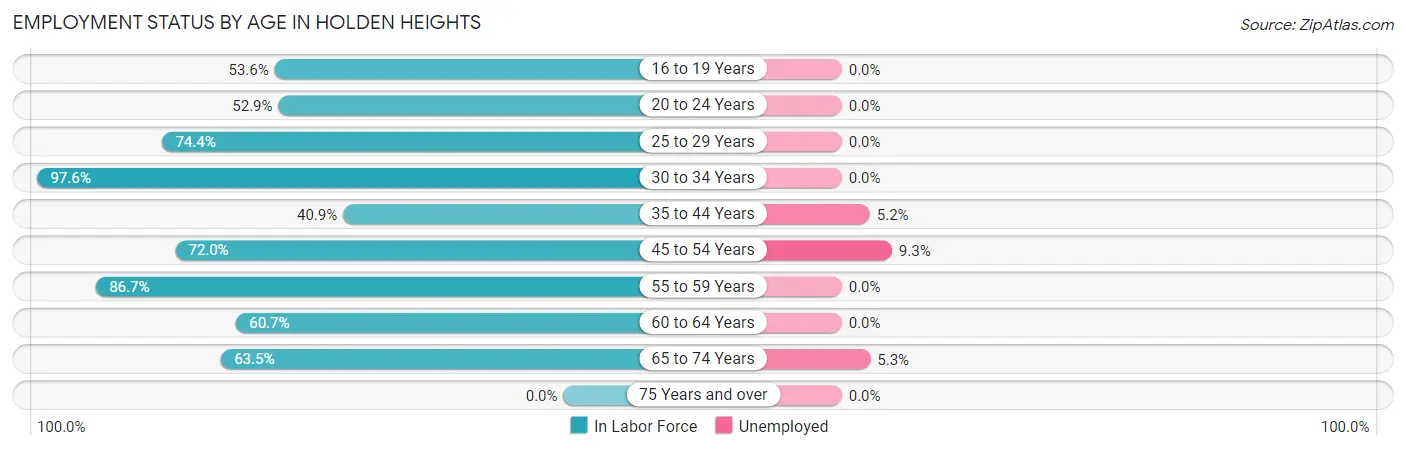Employment Status by Age in Holden Heights