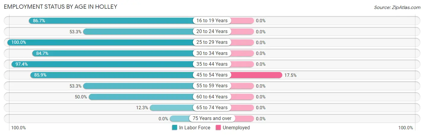 Employment Status by Age in Holley