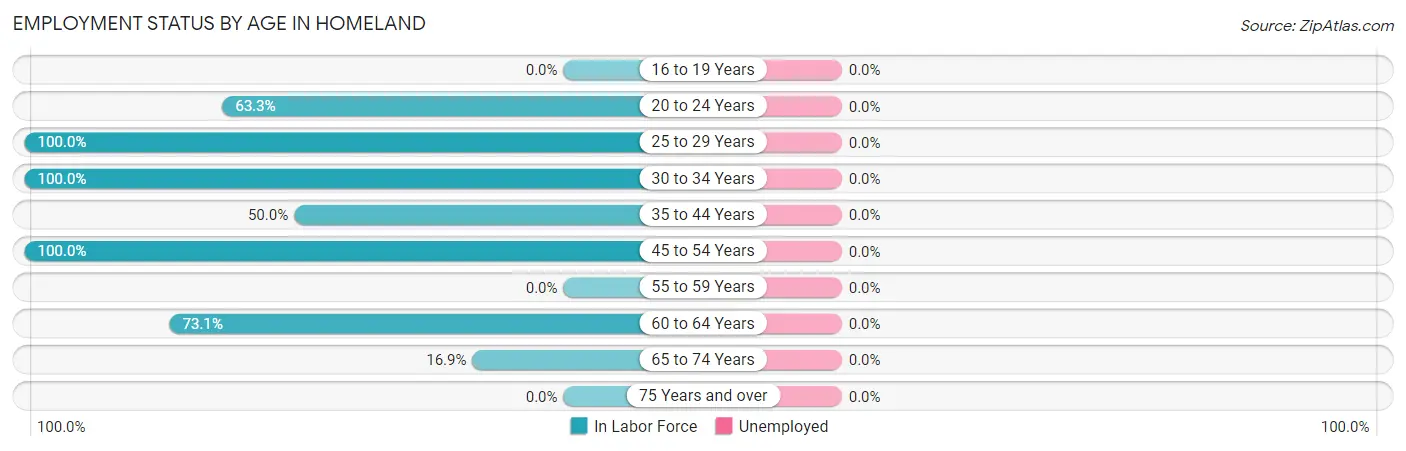 Employment Status by Age in Homeland