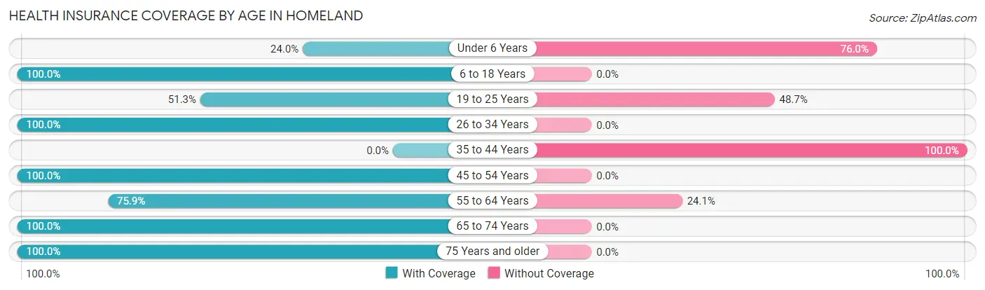 Health Insurance Coverage by Age in Homeland