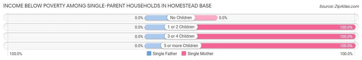 Income Below Poverty Among Single-Parent Households in Homestead Base