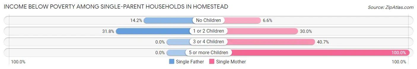 Income Below Poverty Among Single-Parent Households in Homestead