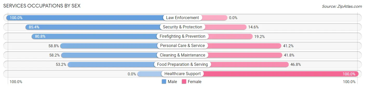 Services Occupations by Sex in Homosassa Springs