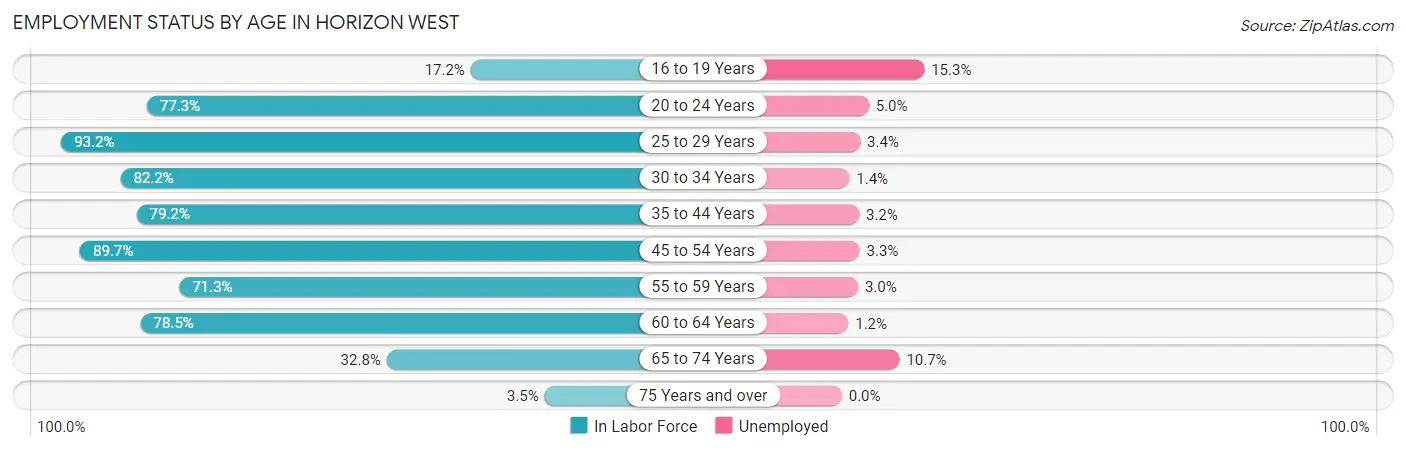 Employment Status by Age in Horizon West