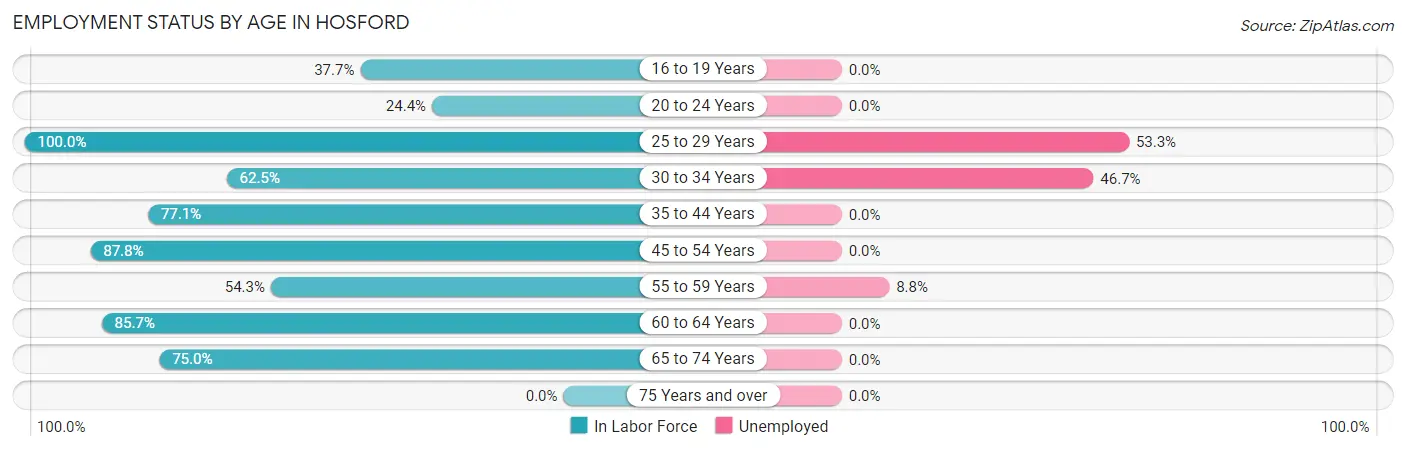 Employment Status by Age in Hosford