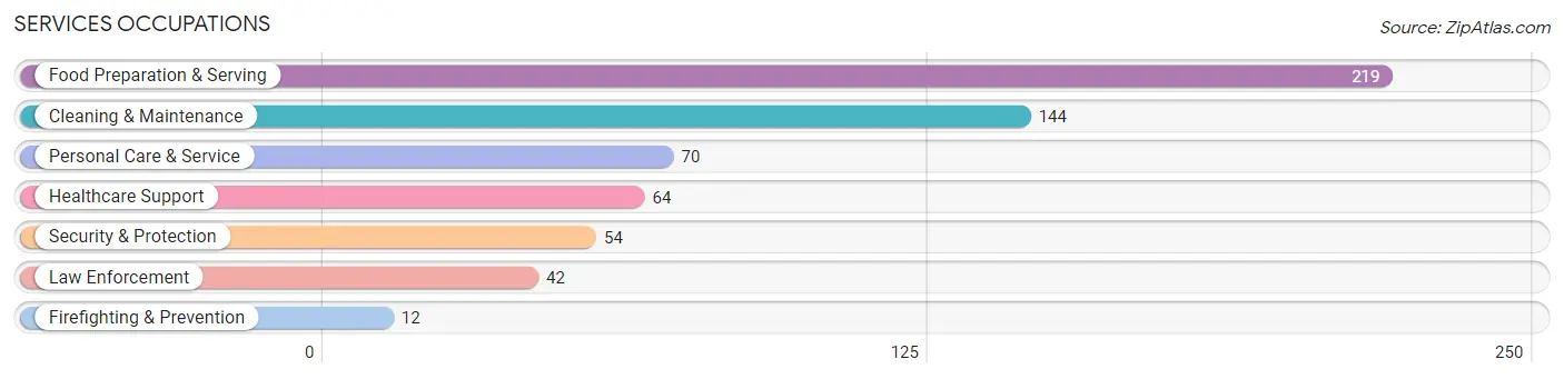 Services Occupations in Hudson