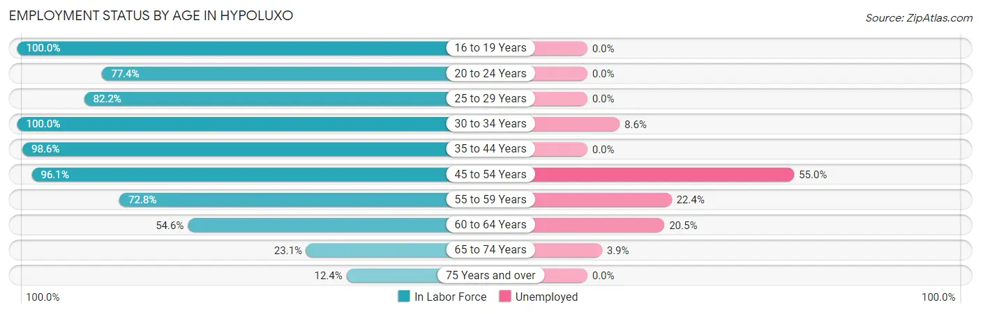 Employment Status by Age in Hypoluxo