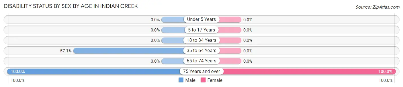 Disability Status by Sex by Age in Indian Creek