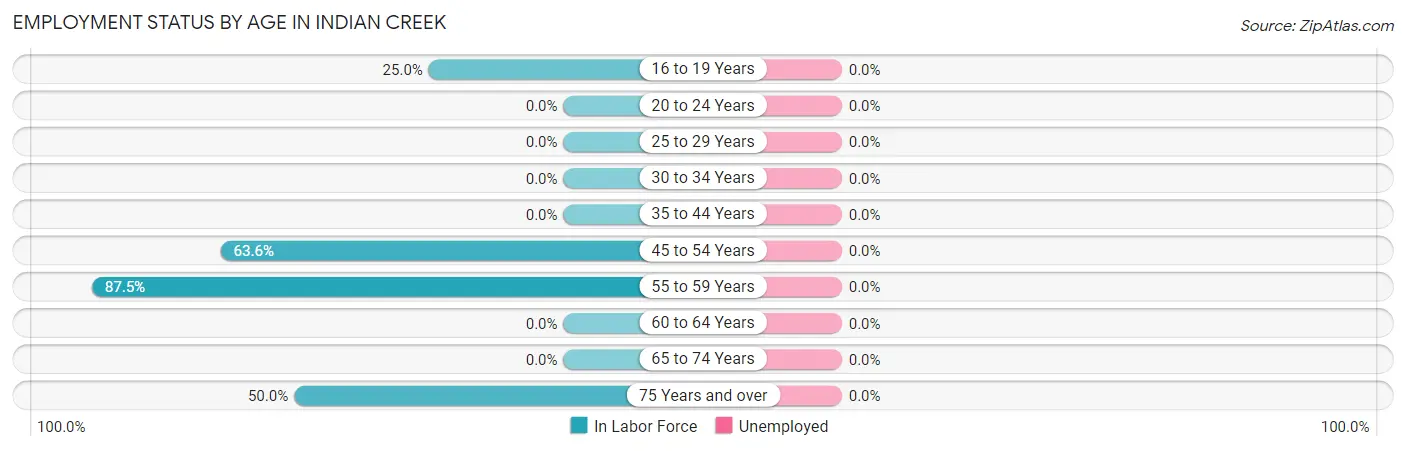 Employment Status by Age in Indian Creek