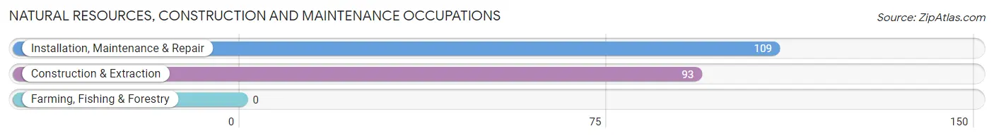 Natural Resources, Construction and Maintenance Occupations in Indian Rocks Beach