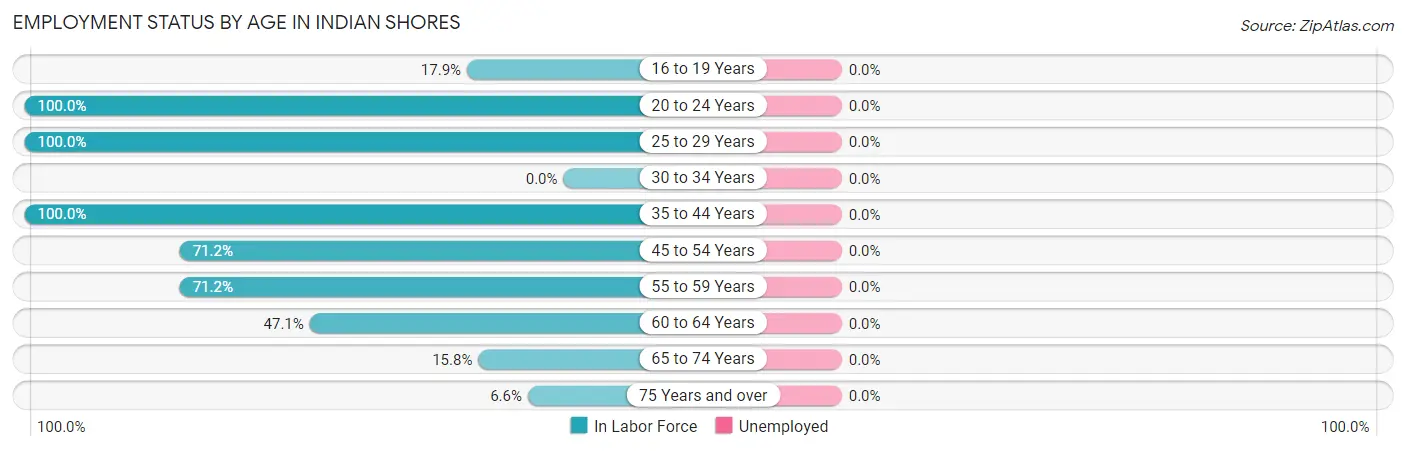 Employment Status by Age in Indian Shores
